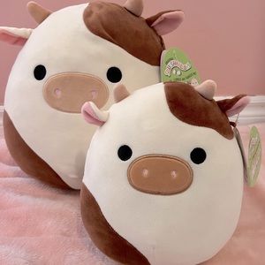 RSVED: DO NOT BUY. Ronnie Squishmallow bundle